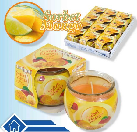 [8011690295517] VASETTO VETRO C/CANDELA SORBET MANG