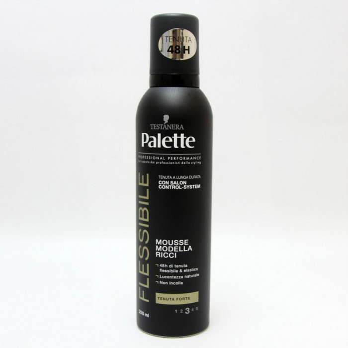 [8015700154276] PALETTE STY.MOUSSE 250ML TEN.FLEX  RAVV.RICCI