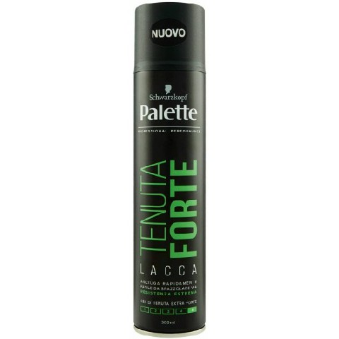 [8015700154290] PALETTE STY.SPRAY 300ML TEN.FORTE
