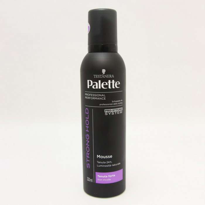[8015700154306] PALETTE STY.MOUSSE 250ML TEN.FORTE