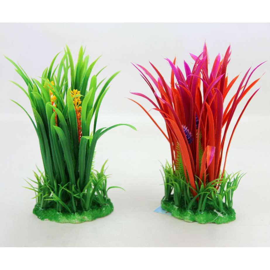 [8057255256296] FIORE ACQUATICO