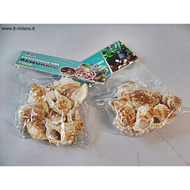[8057255280802] CONCHIGLIE PER ACQUARIO