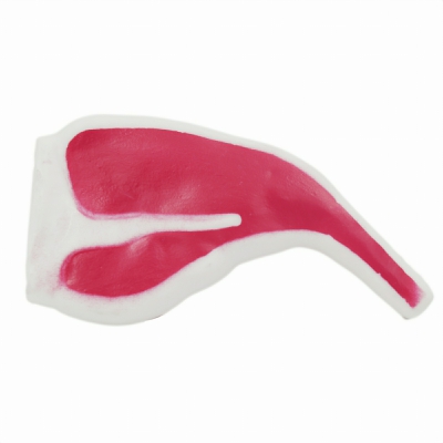 [8211682801539] GIOCO CANE PLASTICA
