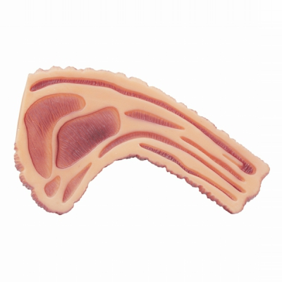 [8211682809566] GIOCO CANE PLASTICA