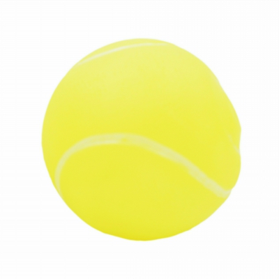[8211682809580] GIOCO CANE PLASTICA