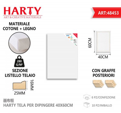 [8828009484537] TELA PER DIPINGERE 40X60CM