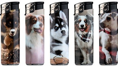 [9007013035891] ACCENDINO LUX DOG