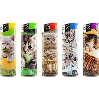 [9007013072537] LUX CAT ACCENDINO