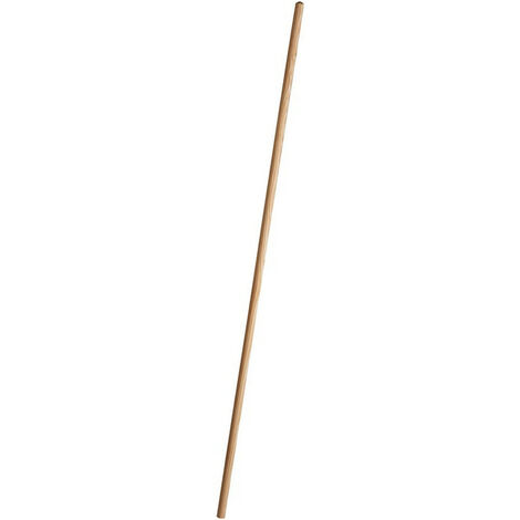 [9993000006497] BASTONE SCOPA 120CM