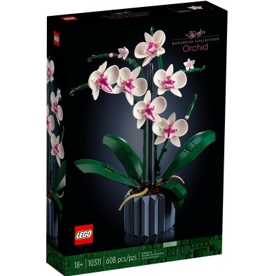 [5702017224336] ORCHIDEA