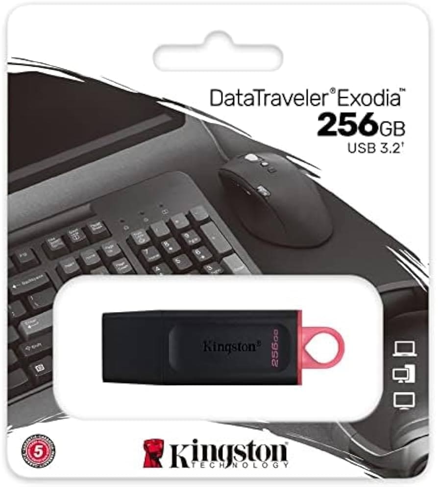[740617310023] KINGSTON USB 3.2 DTX 256 GB