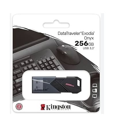 [740617332674] KINGSTON USB 3.2 FT ONYX 256GB