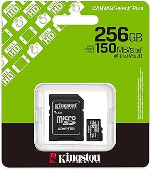[740617348507] MICROSDXC CANVAS SELECT PLUS GEN3 256GB
