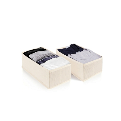 [8000957038653] ORGANIZER CASSETTO TNT *EASYBOX* 2 PZ CM.28X14X