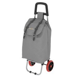 [8003186107107] CARRELLO SPESA SMART GRIGIO