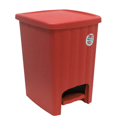 [8003507212619] PATTUMIERA MARGHERITA A PEDALE ROSSO LAMPONE