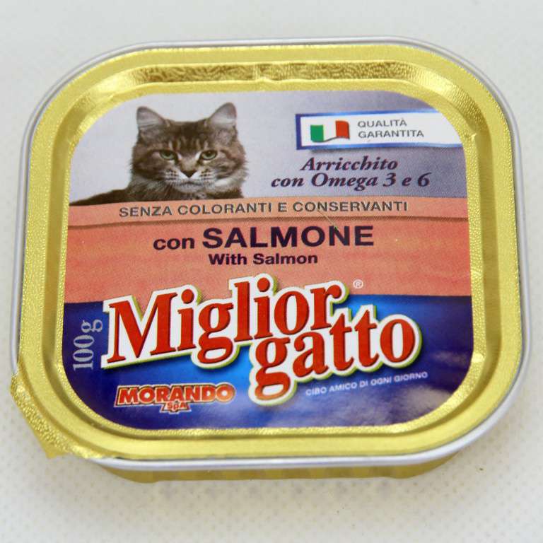 [8007520013017] MG PATE 100GR SALMONE