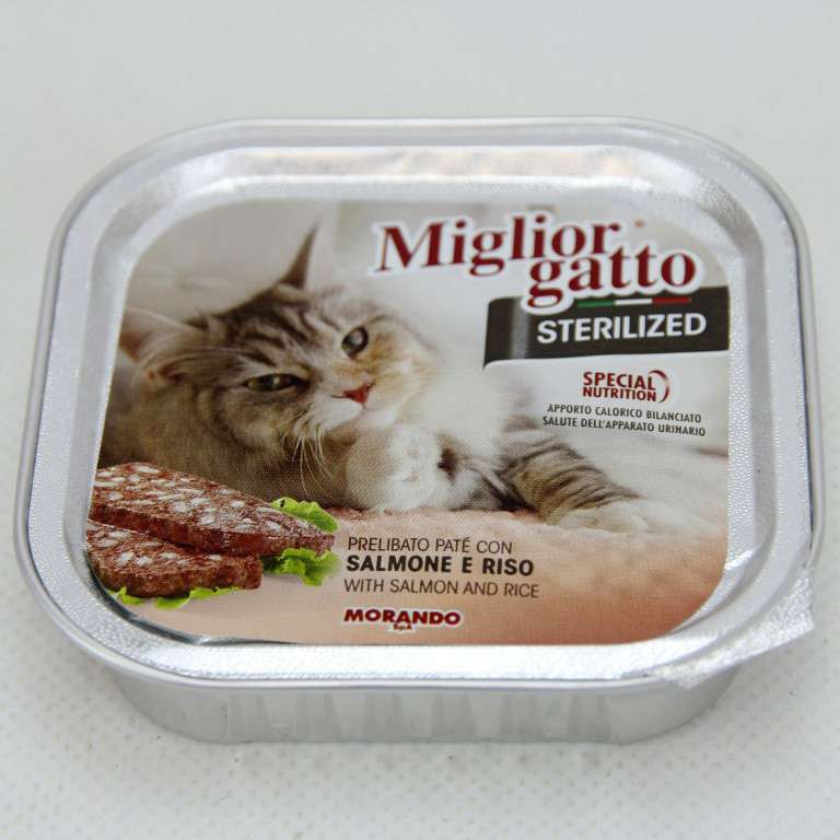 [8007520014540] MG STERILIZED VASCHETTA 100GR SALMONE