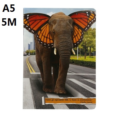 [8007758080225] QUADERNO A5 80GR 20+1F 5M