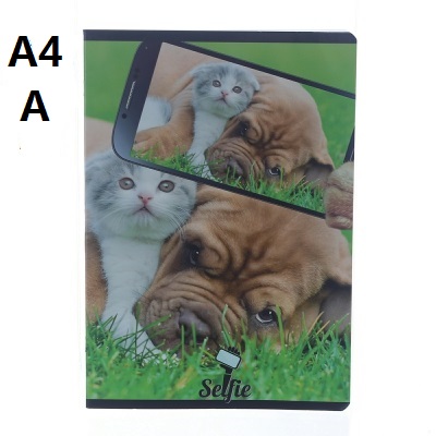 [8007758080300] QUADERNO MAXI A4 80GR 20+1F RIGO A 1°/2°ELEM