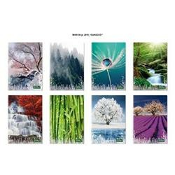 [8007758247710] MAXI QUADERNO FSC 80GR 20+1F 5M
